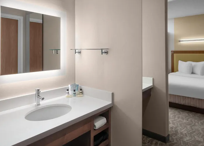 Springhill Southside Works 3* Pittsburgh