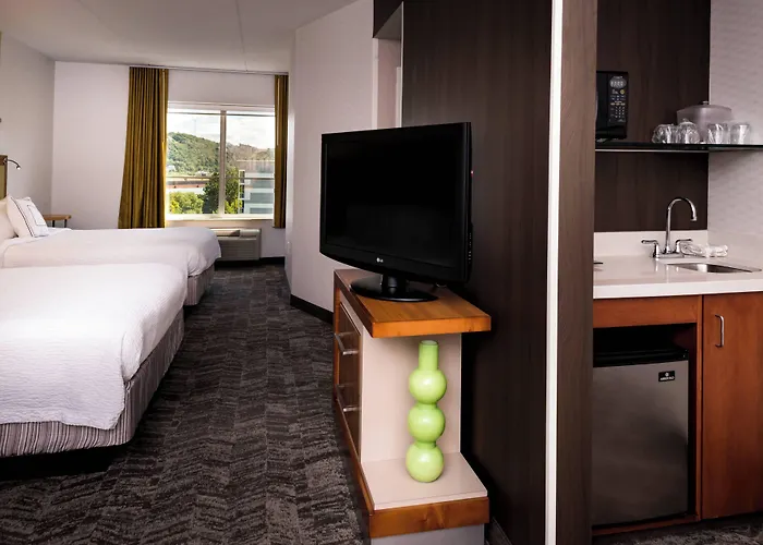 Springhill Southside Works Hotel Pittsburgh