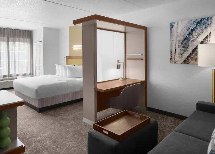 Hotel Springhill Southside Works Pittsburgh